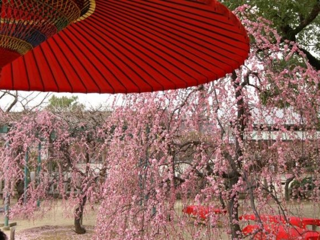 屯倉神社