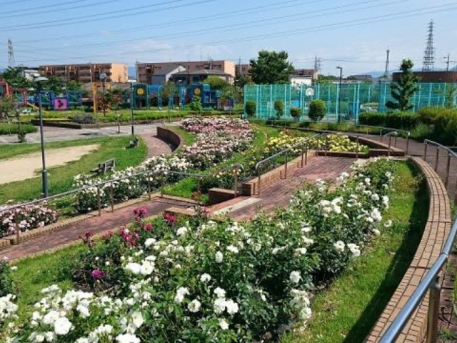 新町南公園の写真1