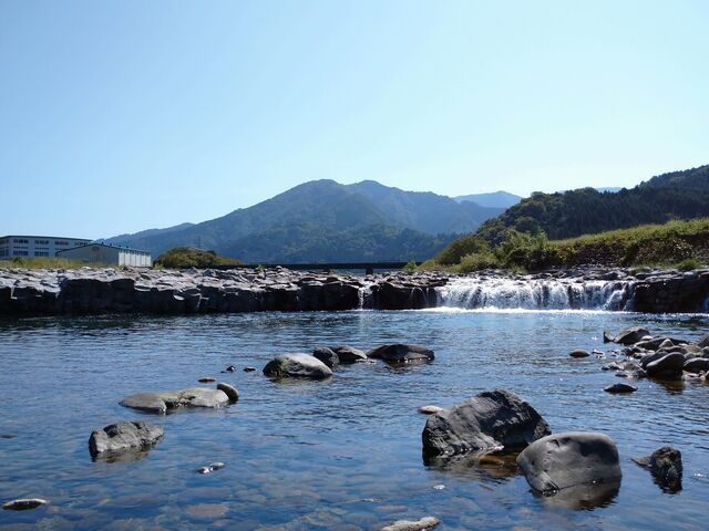 徳丸ドンドの写真1