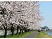 童夢公園の写真2
