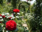 オープンガーデンよこぜの写真2