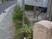 竹内街道の写真2