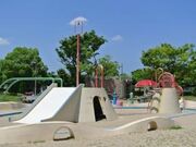 天美西公園の写真2