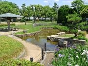 天美西公園の写真3