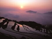 岳の棚田の写真1
