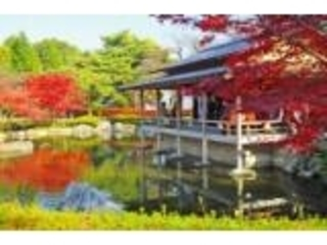 西山公園のもみじの写真1