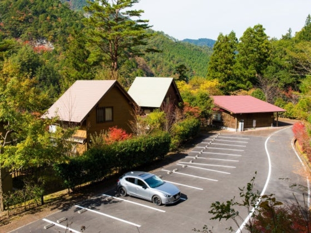 木の根ふれあいの森の写真1