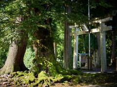 白山神社の写真1