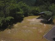 木の根ふれあいの森の写真4