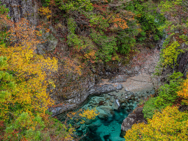 付知峡の紅葉の写真1