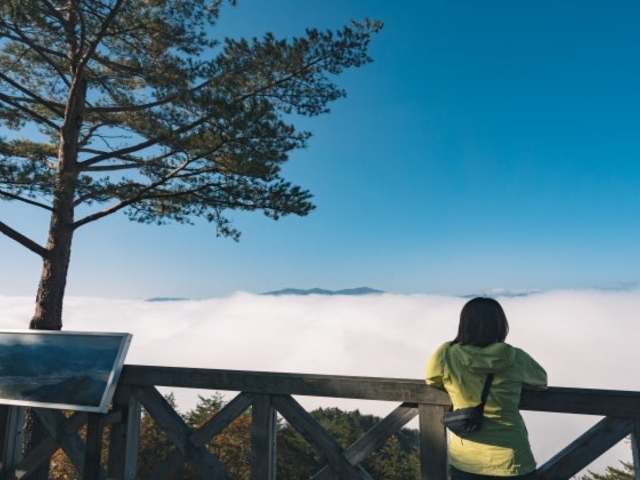 安峰山(安望山・安峯山)飛騨古川の朝霧の写真1