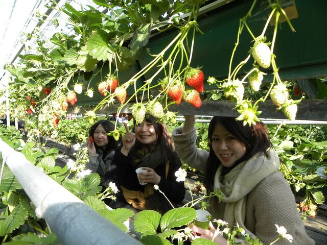 アクアロマン 駒ヶ根園の写真1