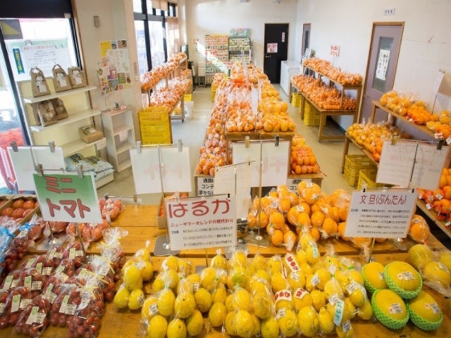 ファーマーズマーケット どんどん広場の写真1