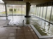 加茂七谷温泉 美人の湯の写真3
