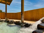 早太郎温泉郷 露天こぶしの湯の写真3