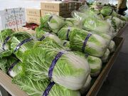 JA松本ハイランド ファーマーズガーデンあかしなの写真4