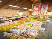 ファーマーズマーケット どんどん広場の写真2