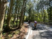 「青野山ライド」電動自転車に乗って自然と一体化する津和野アドベンチャーツアーの写真2