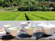 茶畑一望「お茶テラス」で愉しむ煎茶体験の写真4
