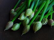 つわの食材を使った『季節の瓶詰め』づくりの写真2