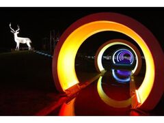 花の駅 ゆりの里公園 イルミネーションの写真1