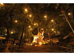 來宮神社 夜間ライトアップの写真1