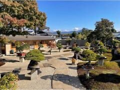 芳春院盆栽庭園 通年拝観の写真1