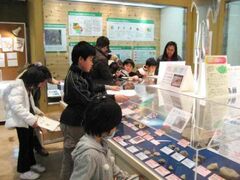 クイズで楽しむ自然博物館!!の写真1