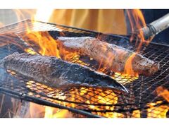 枕崎お魚センター カツオわら焼き体験の写真1