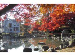国指定名勝旧池田氏庭園 一般公開の写真1