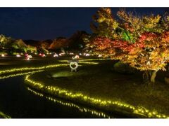夜間特別開園 秋の幻想庭園の写真1