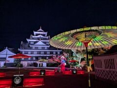 秋の烏城灯源郷の写真1