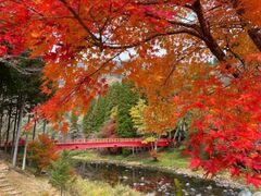 宇甘渓の紅葉の写真1