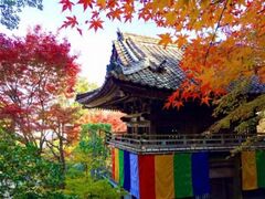 花の山寺「桜と紅葉まつり」の写真1