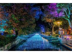 西川イルミ の写真1