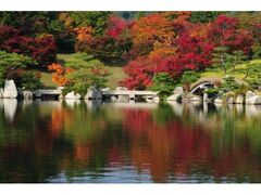 三景園 もみじまつりの写真1