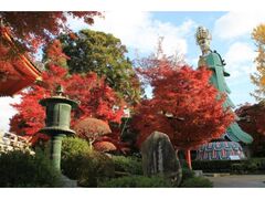 耕三寺博物館(耕三寺)の紅葉の写真1