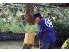 松のコモ巻の写真1
