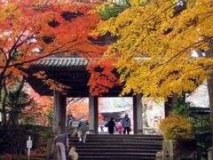 功山寺の紅葉の写真1