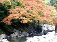 木谷峡の紅葉の写真1