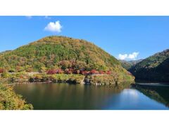 高瀬湖の紅葉の写真1