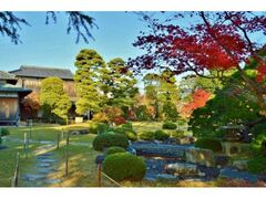 菊屋家住宅 秋の庭園特別公開の写真1