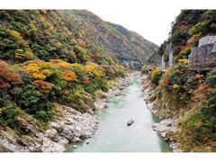 大歩危峡観光遊覧船と紅葉の写真1