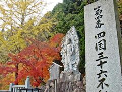 箸蔵寺の紅葉の写真1