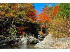 殿川内渓谷の紅葉の写真1