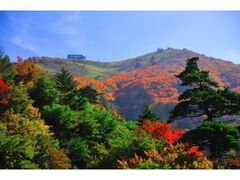 剣山もみじ祭りの写真1