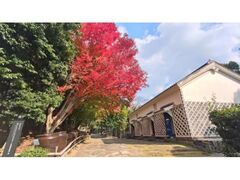 四国村ミウゼアムの紅葉の写真1