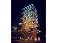 善通寺 五重塔ライトアップの写真1