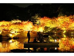 栗林公園秋のライトアップの写真1