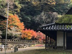 塩江温泉郷の紅葉の写真1